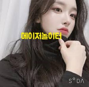 메이저놀이터